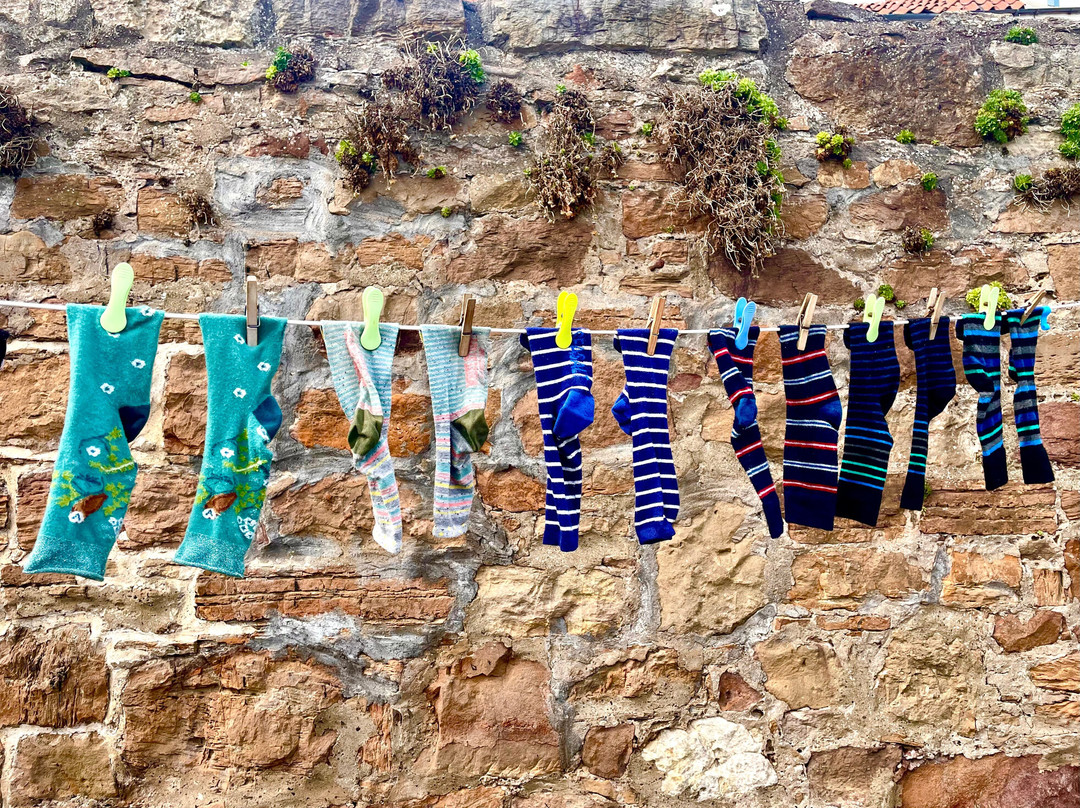 Cellardyke Harbour景点图片
