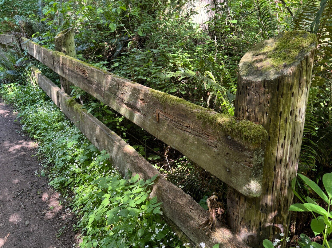 Dungeness National Wildlife Refuge-塞奎姆必去景点
