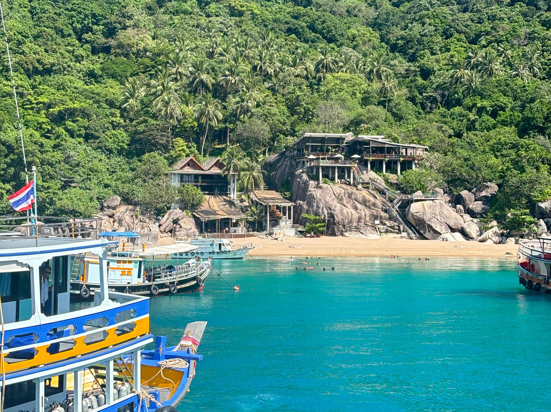 Tour Latino Koh Tao-涛岛必去景点