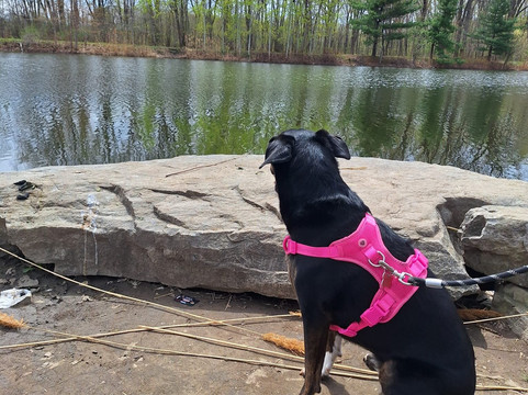 Angrignon Park-蒙特利尔必去景点