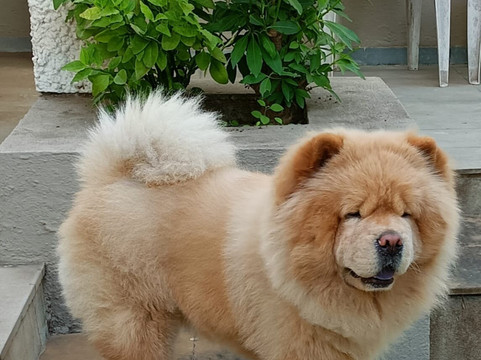 The Meadows Resort and Spa主图