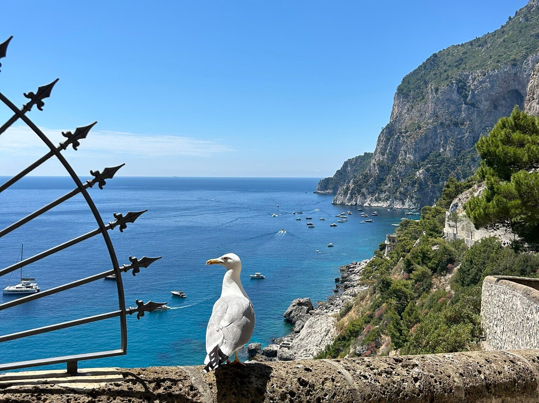 Spiaggia di Marina Piccola-卡碧岛必去景点