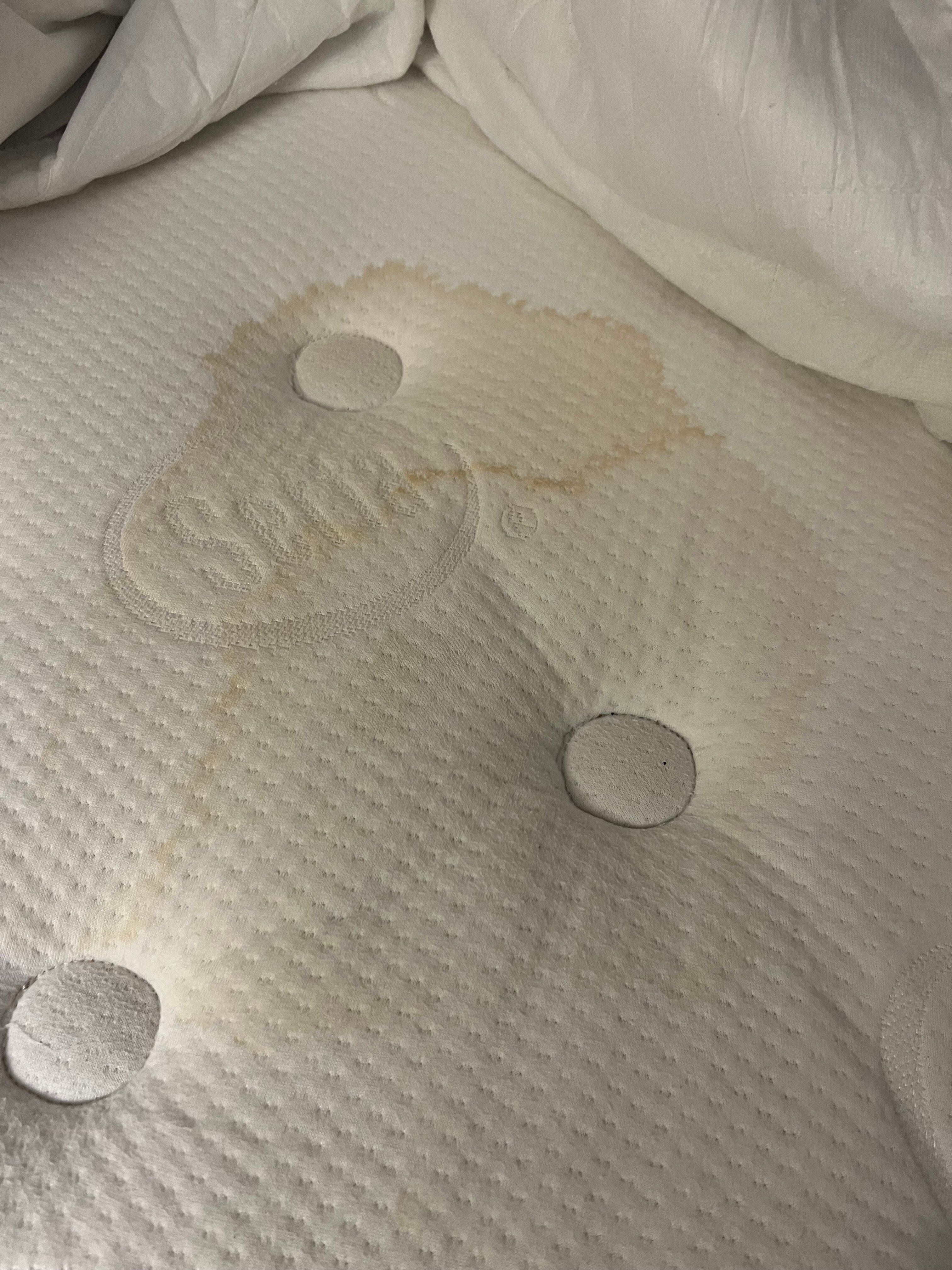 Fairfield Inn & Suites Greenville-客卧