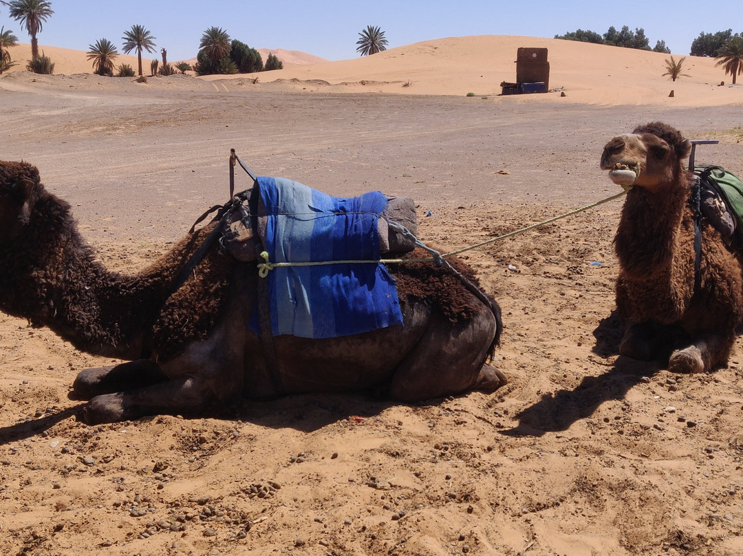 Auberge Les Roches主图