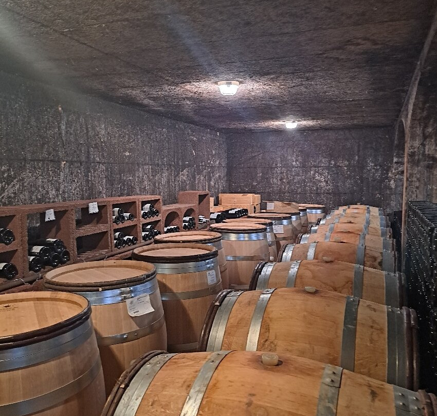 Domaine Armelle et Bernard Rion-Vosne-Romanee必去景点