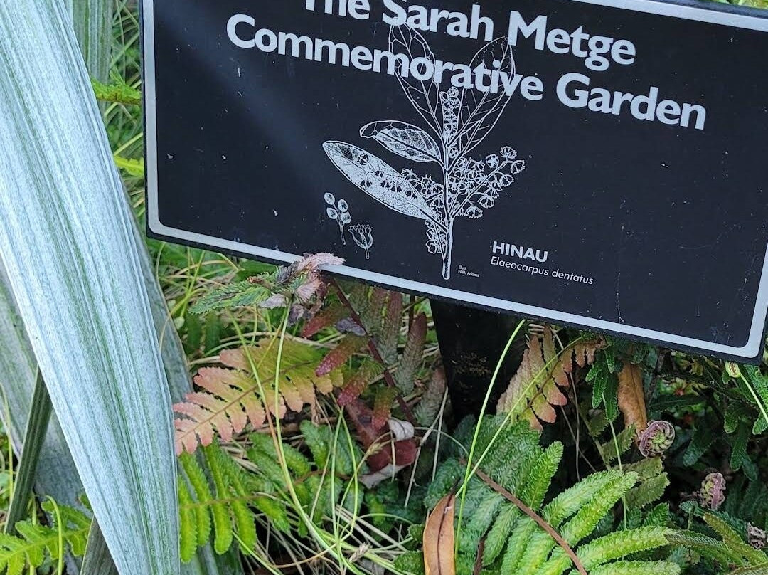 Fernglen Native Plant Gardens-Birkenhead必去景点