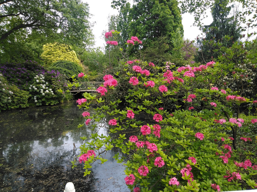 Trompenburg Tuinen En Arboretum-鹿特丹必去景点