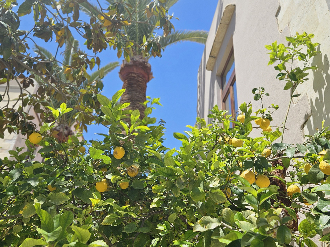 佩皮公寓酒店主图