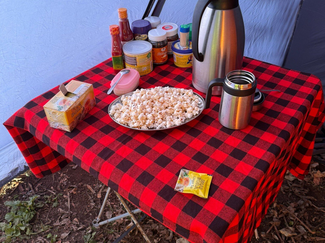 Kili Trips & Safari Outfitters-莫西必去景点