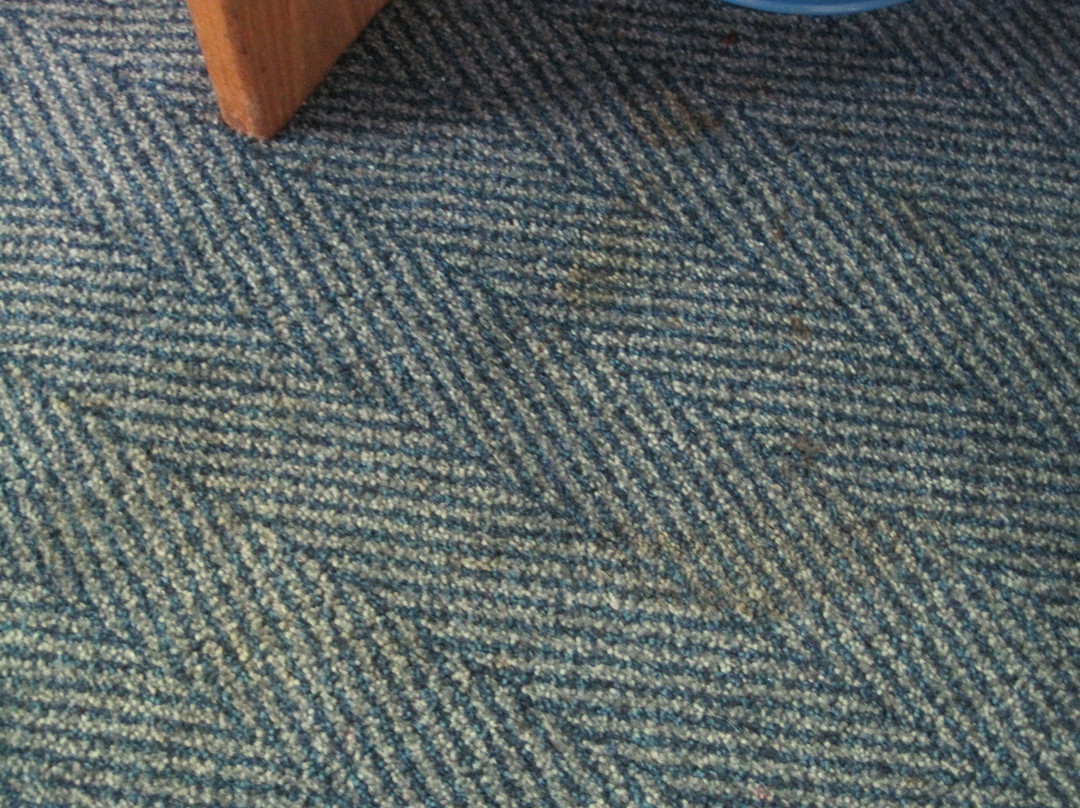 Travelodge Kilmarnock主图