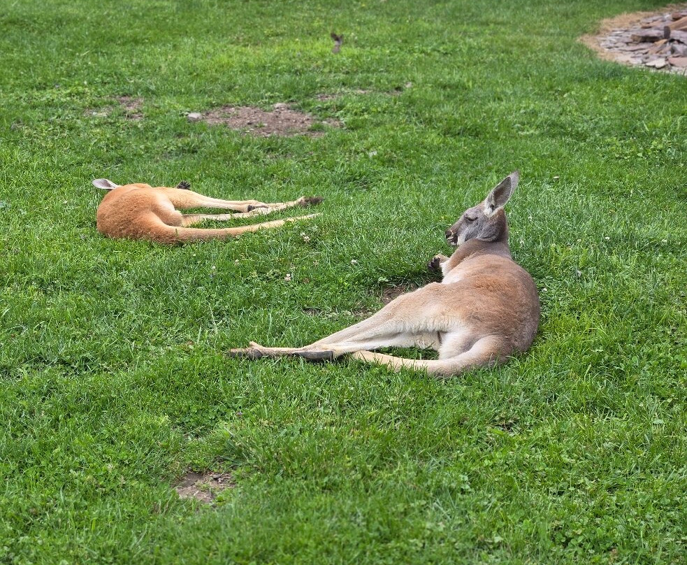 The Farm at Walnut Creek-Sugarcreek必去景点