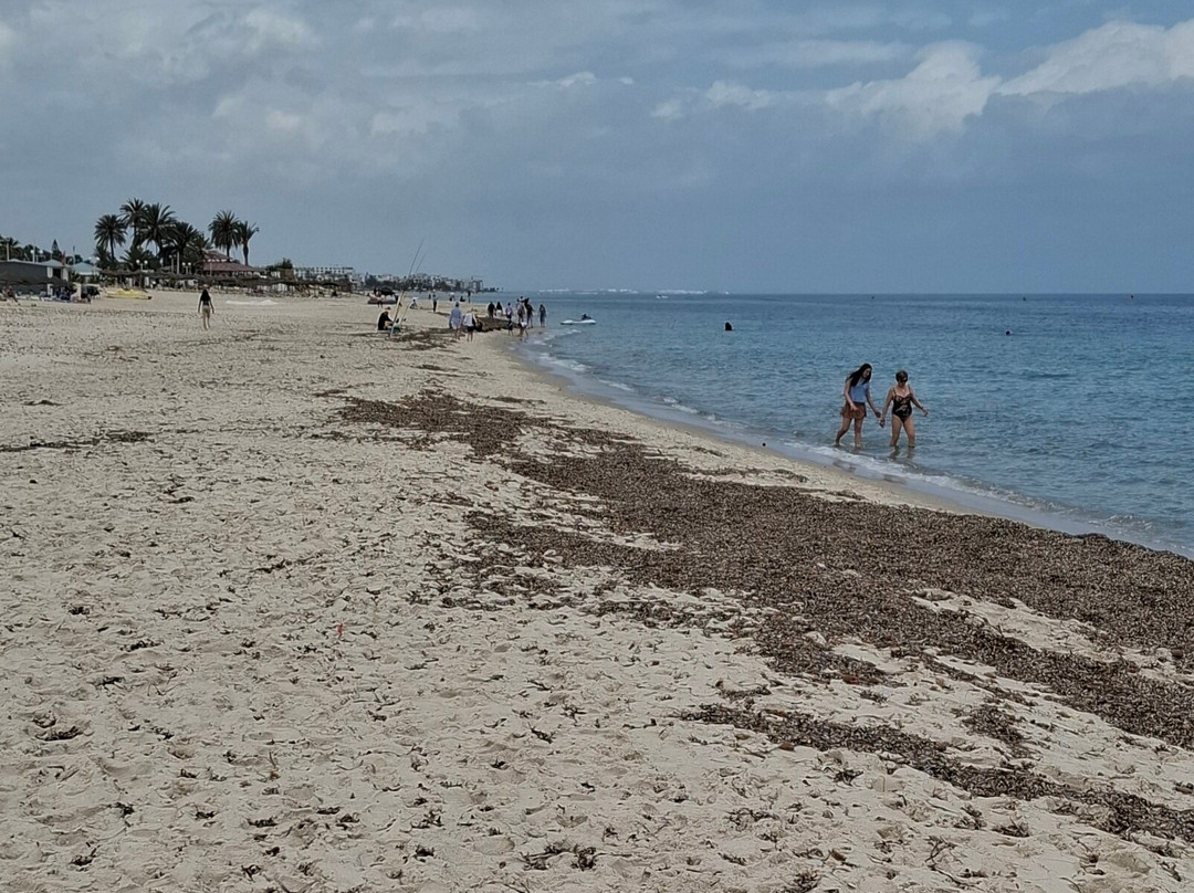 Port El Kantaoui Beach-康大维港必去景点