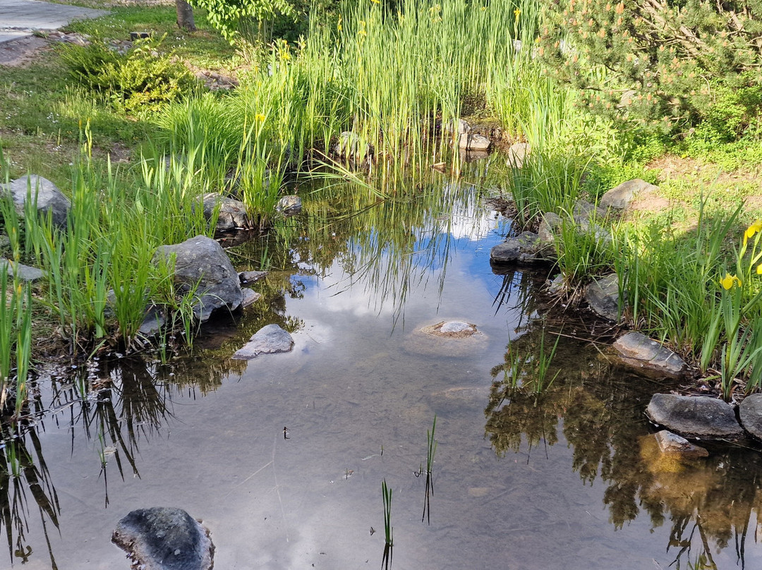 Japanischer Garten-Leinefelde必去景点