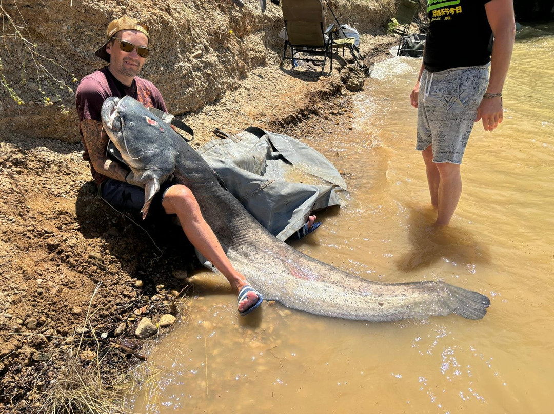 River Ebro Catfishing Holidays景点图片