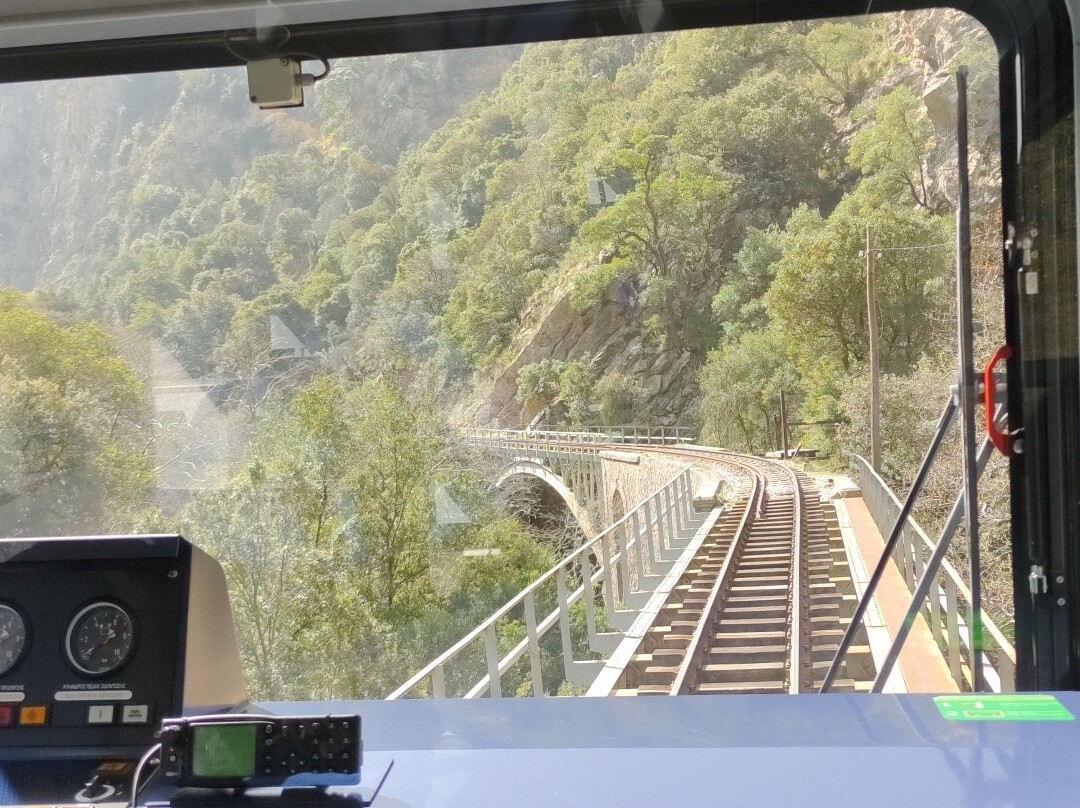 Odontotos Rack Railway景点图片