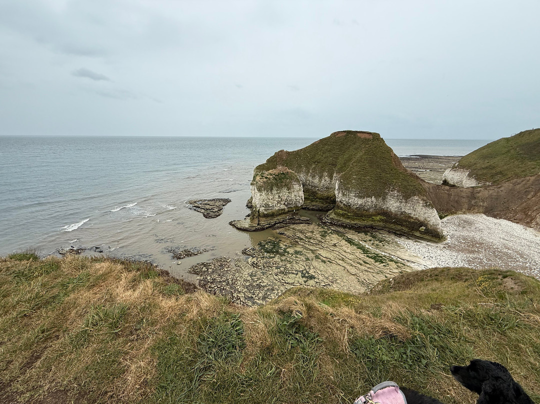 New Flamborough Lighthouse景点图片