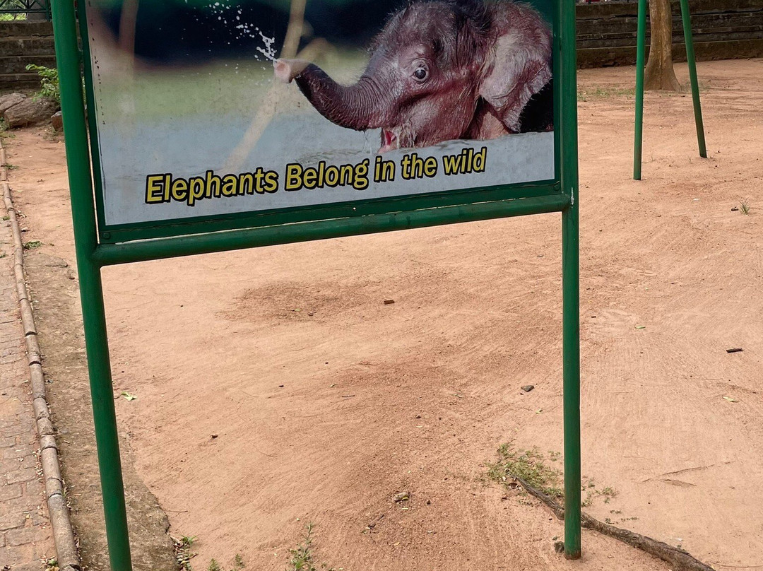 Elephant Transit Home (ETH)景点图片