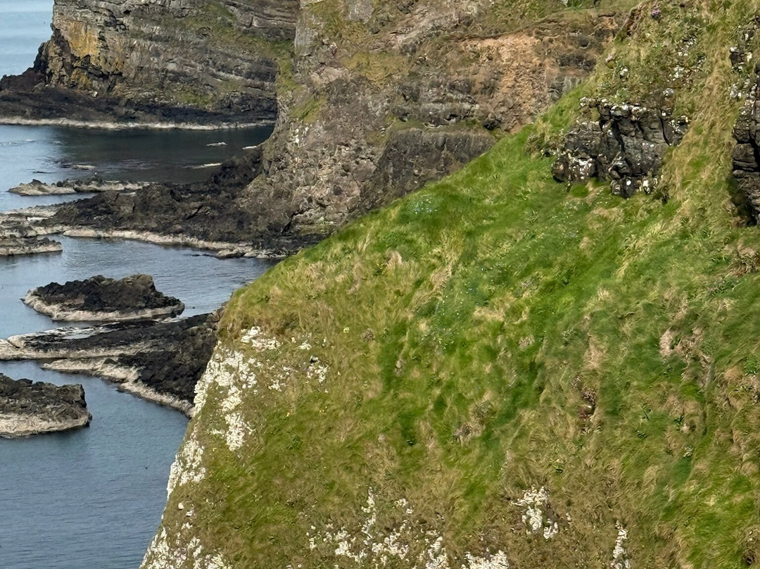 My Irish Guide景点图片