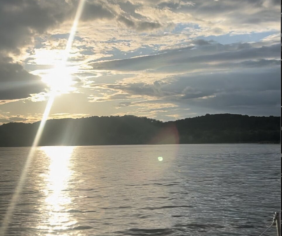 Black Swan Sailing - Day Tour-Kingston必去景点