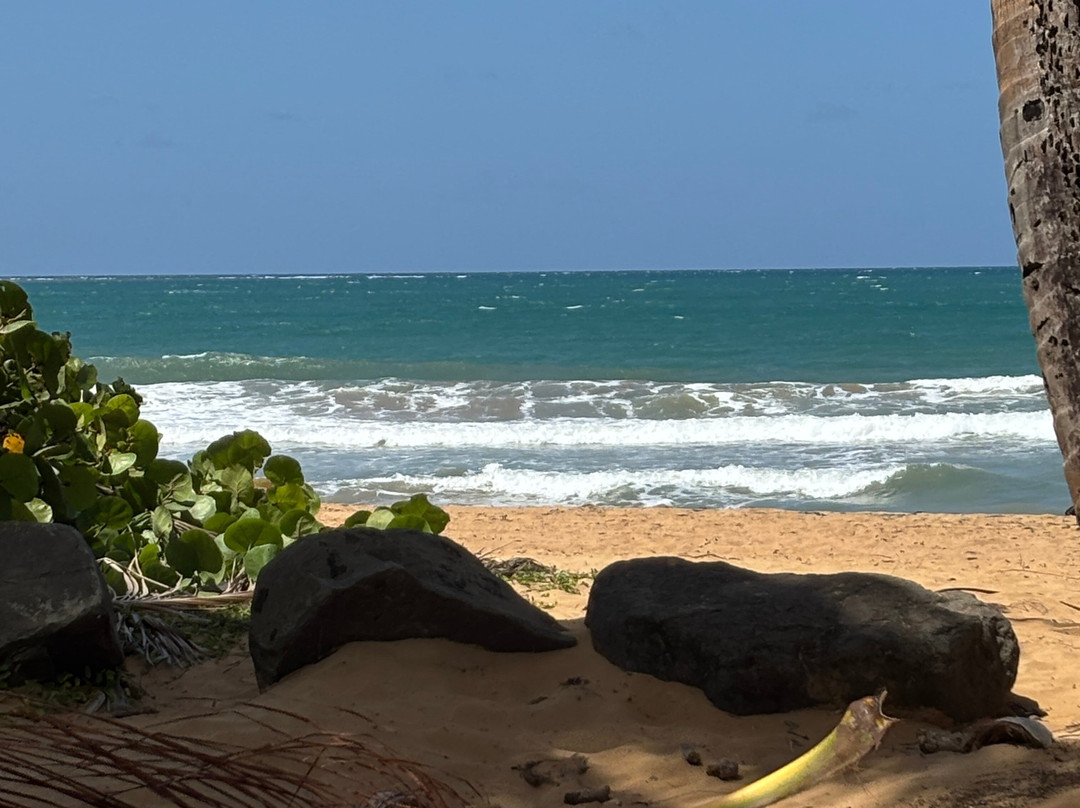 Wyndham Rio Mar Golf Club-Rio Grande必去景点