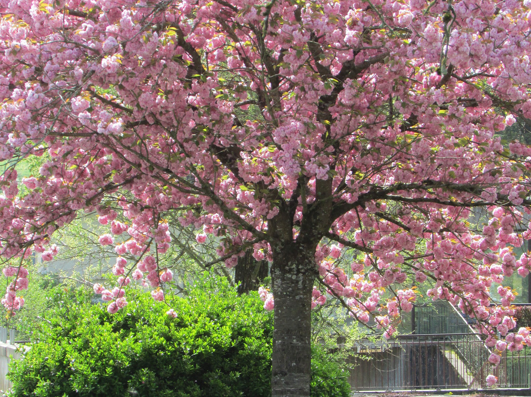Office de Tourisme de Salins-les-Bains-Salins-les-Bains必去景点
