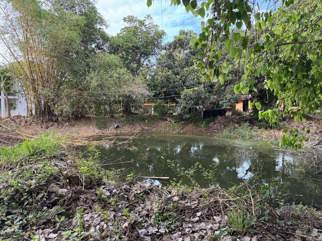 Hotel 4 U Saliya Garden主图