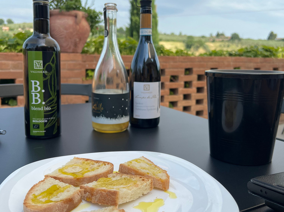 Cantina Valdangius-Montefalco必去景点