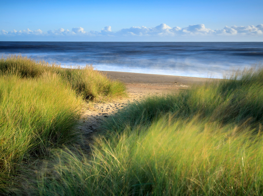 National Trust Sandilands