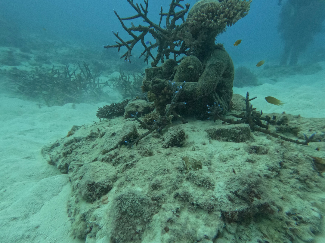 Museum of Underwater Art-North Ward必去景点