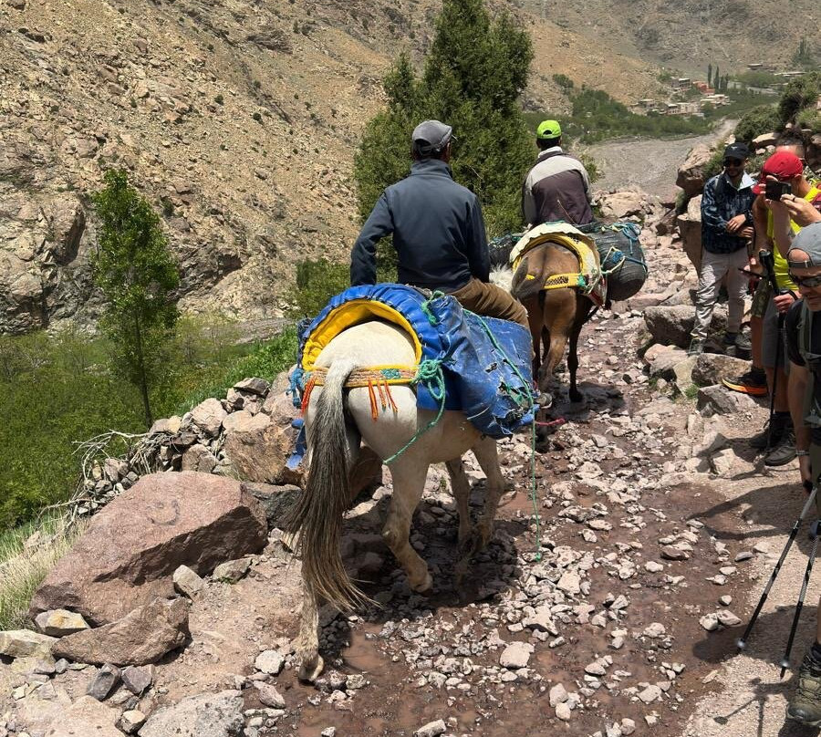 Aztat Treks-伊姆利勒必去景点