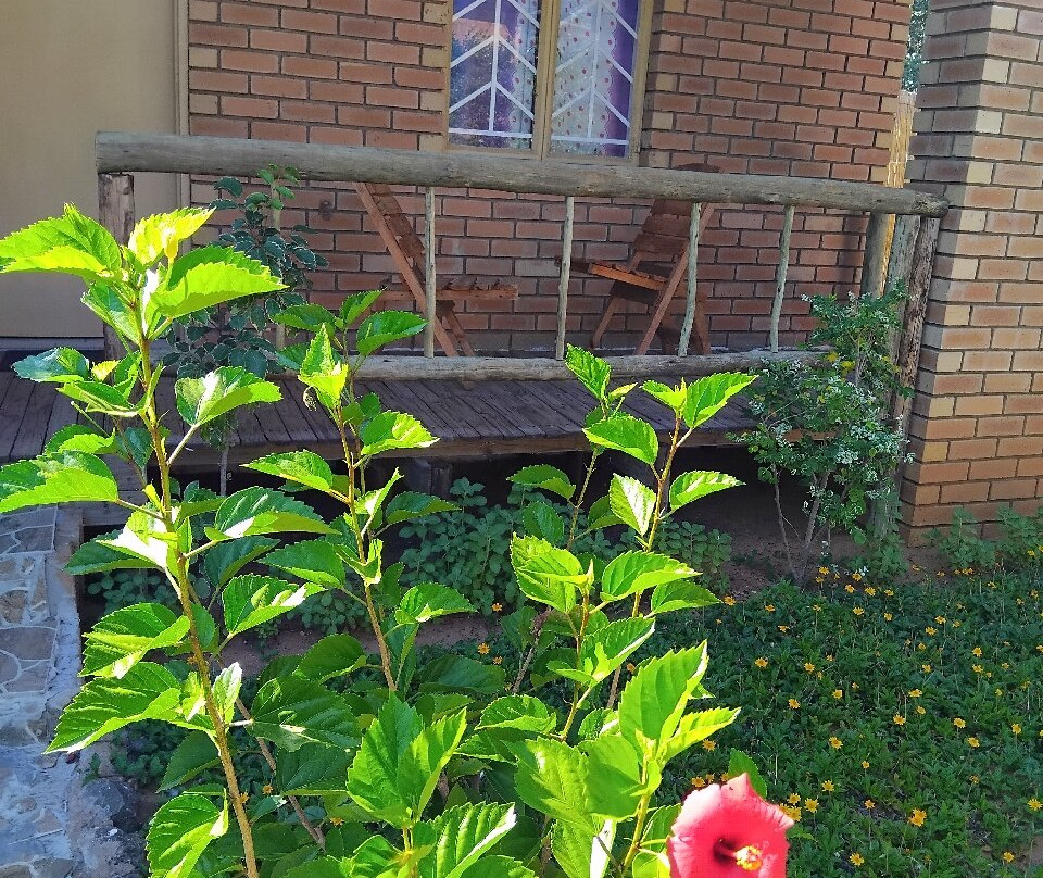 Sunshinevibe Guest House