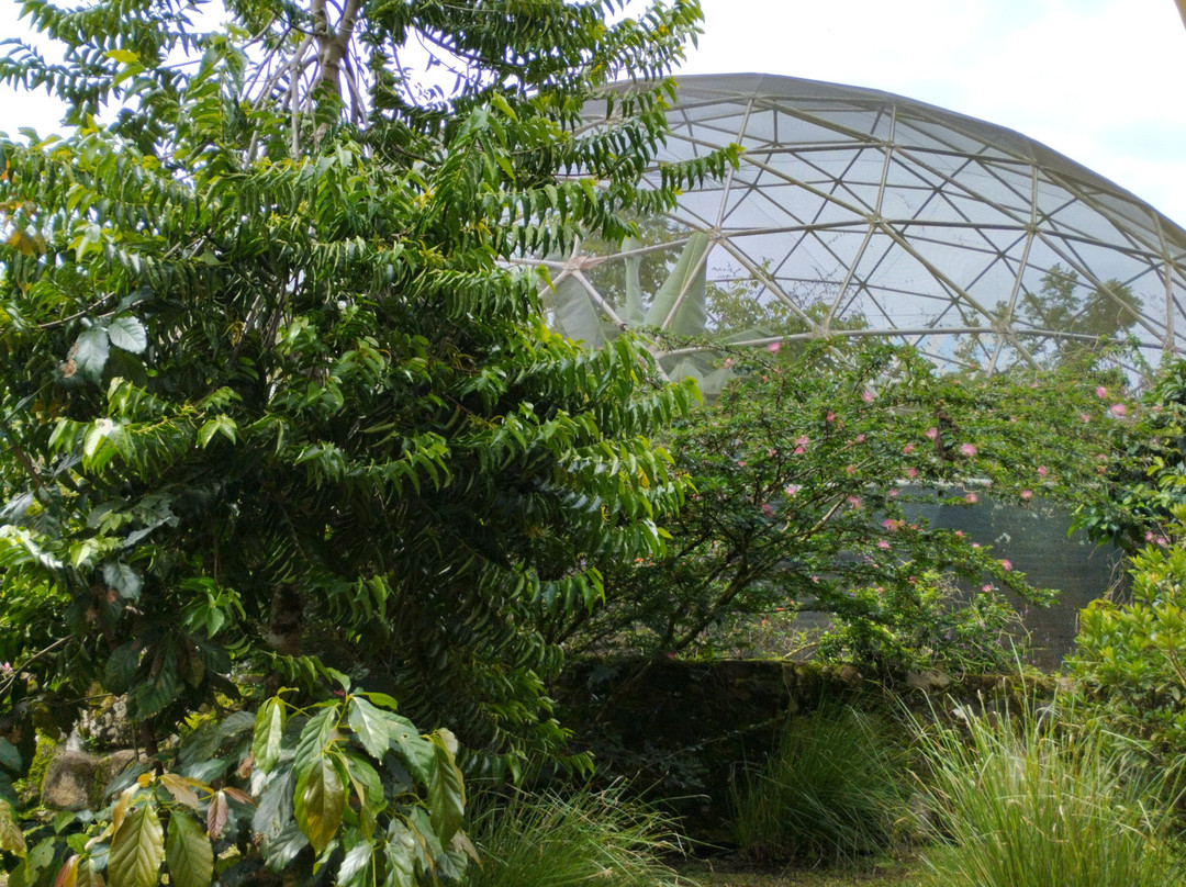 Casa Alegría-Canaan必去景点