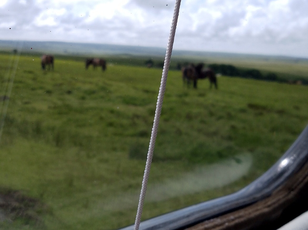 Discovery Tours of Exmoor-Porlock必去景点