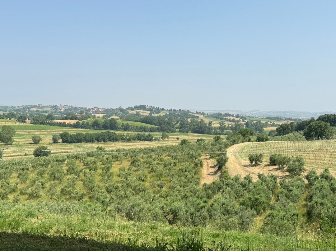 BINDELLA tenuta Vallocaia-蒙特普尔恰诺必去景点