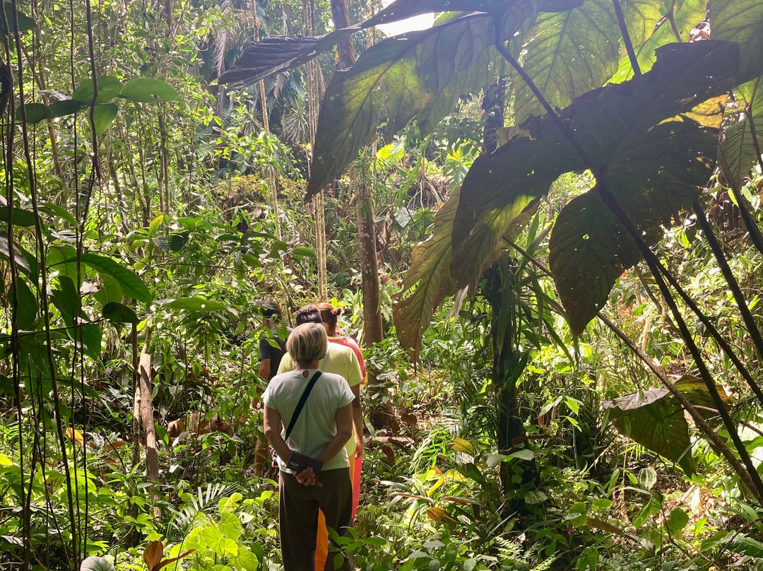 Jardin de Cantamerle-Capesterre-Belle-Eau必去景点