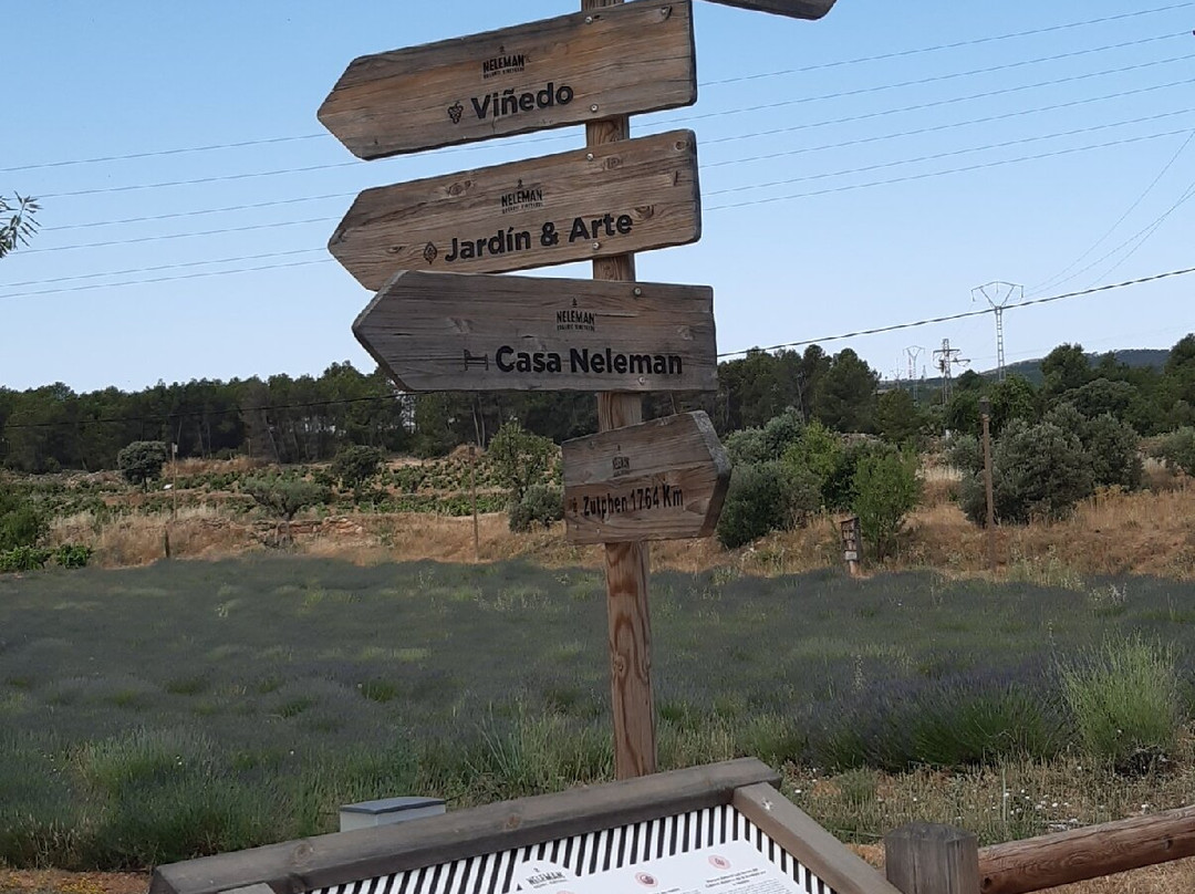 Bodegas Neleman, Casas del Rey - Valencia (Spain)-Venta del Moro必去景点