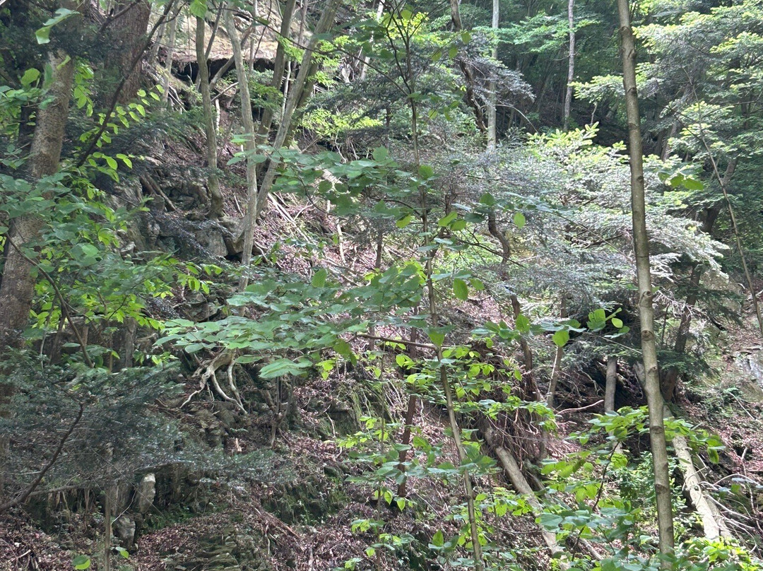 Kinu Tateiwa Otsuribashi (Suspension bridge)-日光市必去景点