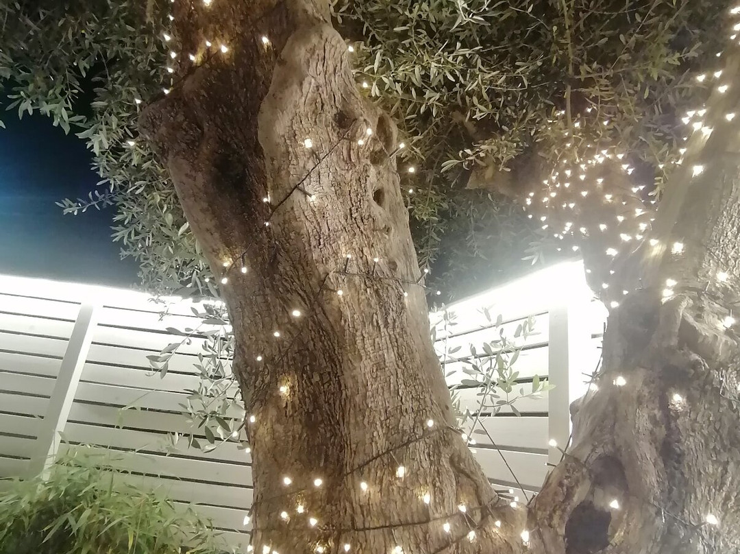 Torquemada B&B主图