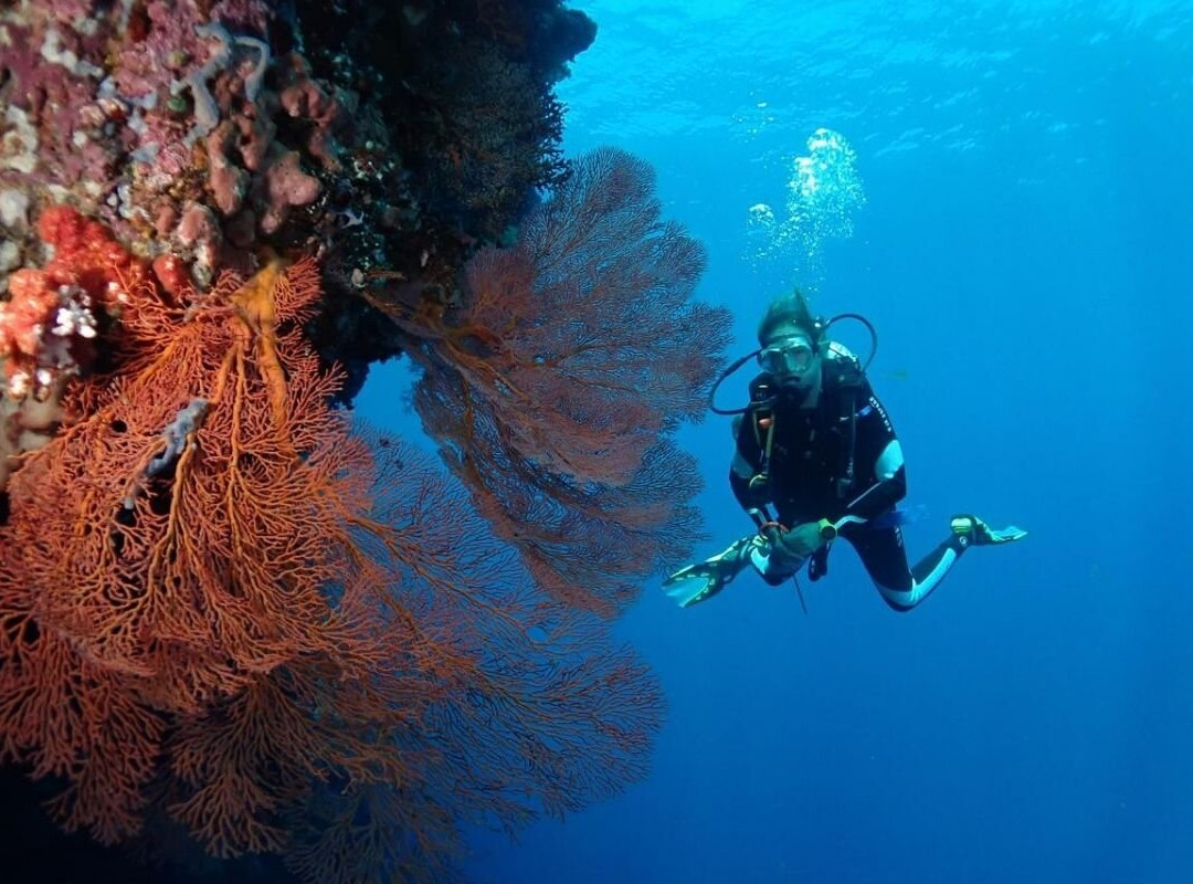 Bali Hai Diving Menjangan-班玉威当必去景点