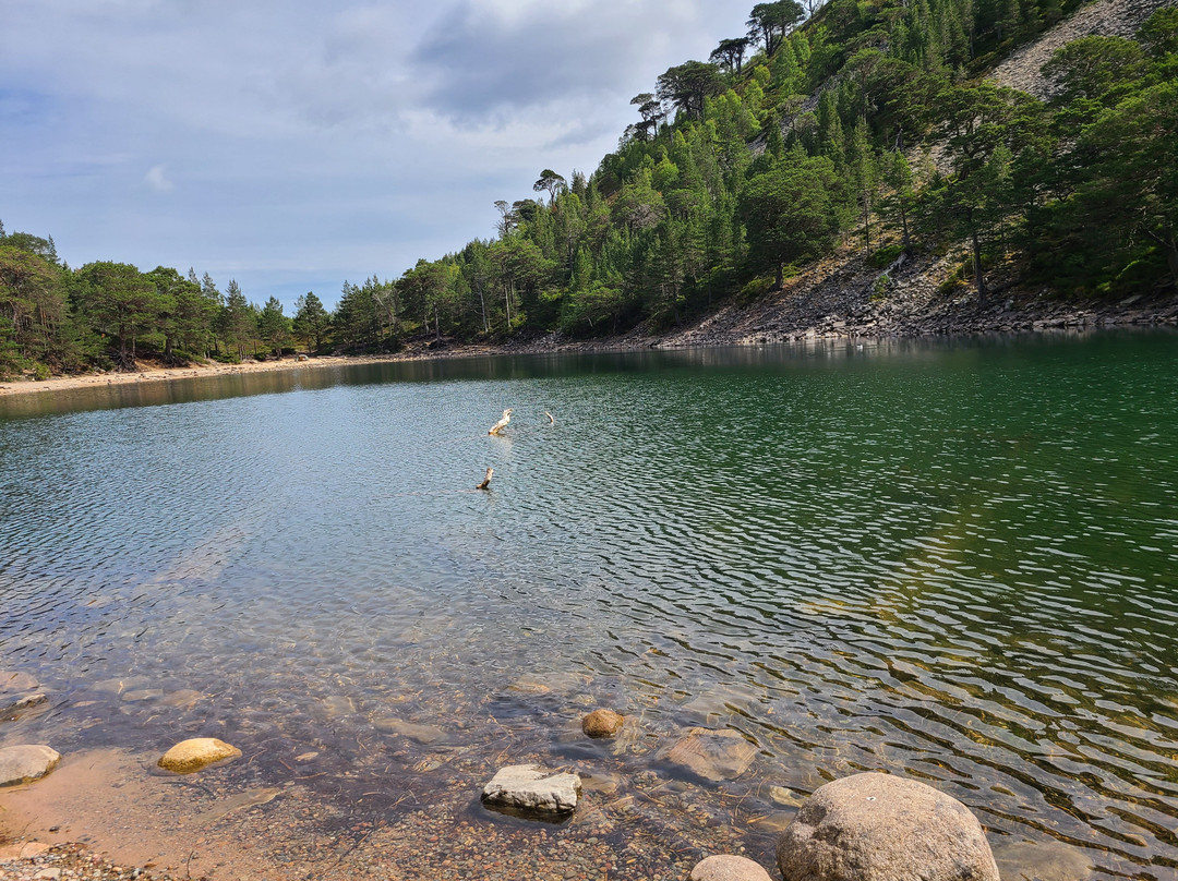 An Lochan Uaine-阿维莫尔必去景点