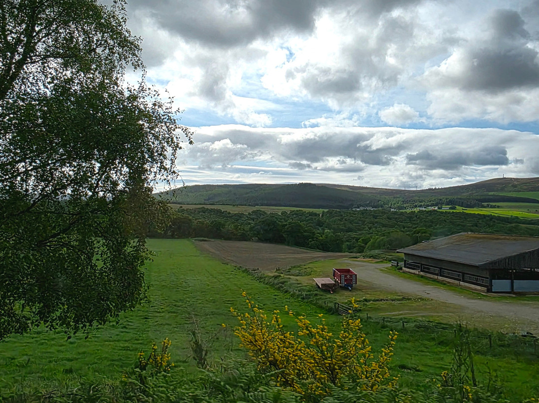 Simply Speyside Tours-Grantown-on-Spey必去景点
