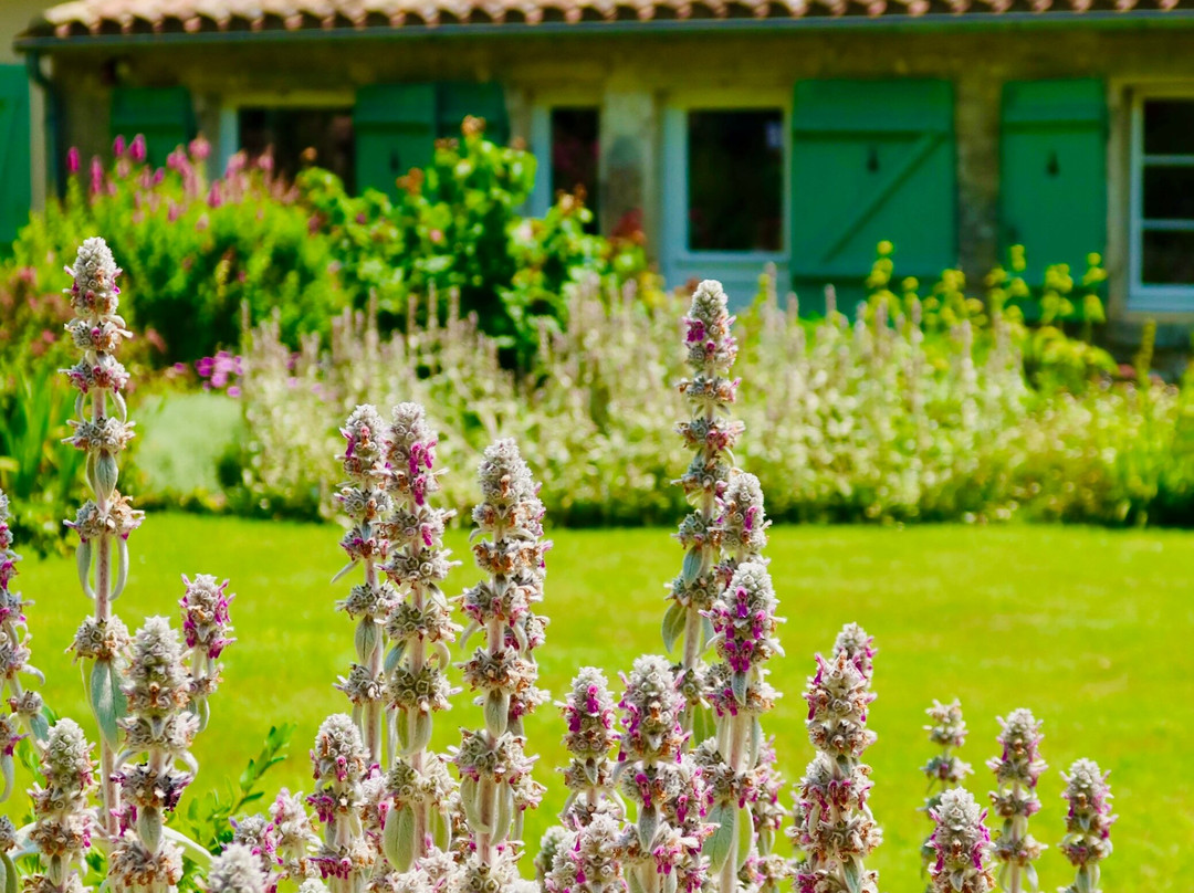 Les Jardins de Sardy-Velines必去景点
