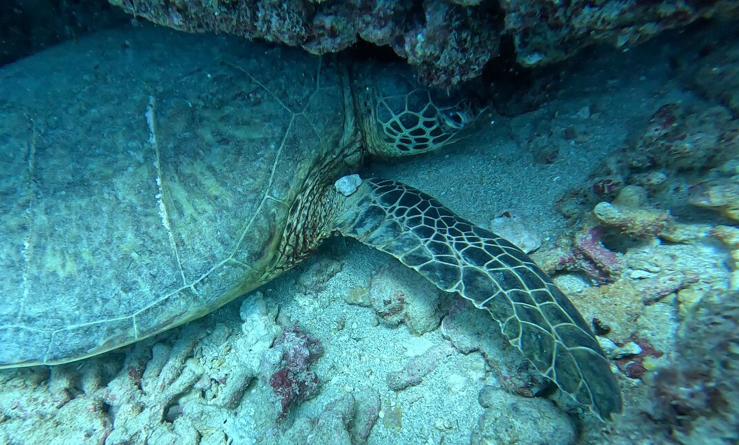 Big Kahuna Water Sports-火奴鲁鲁必去景点