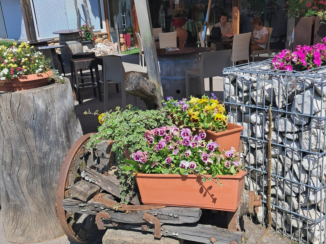 Hotel Alt Spaur主图