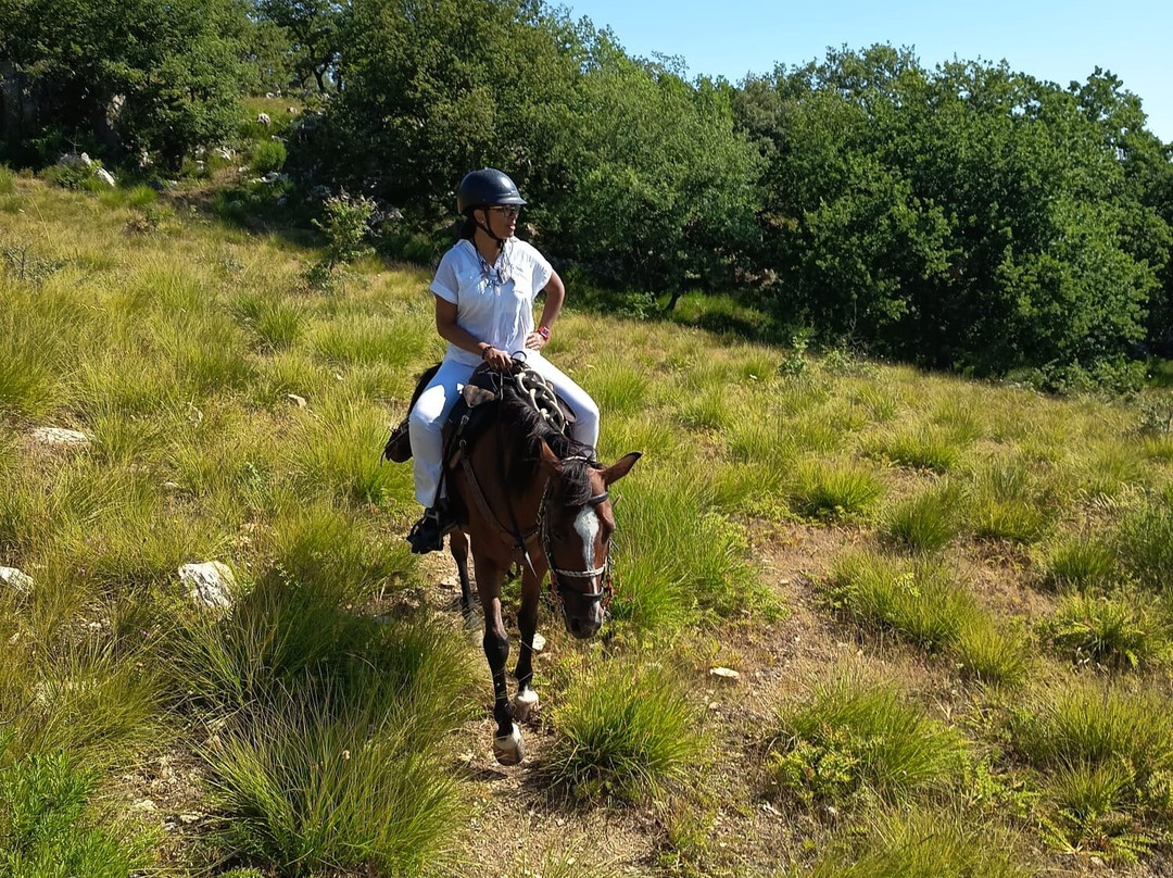 Horse Trekking Sicily-Marineo必去景点