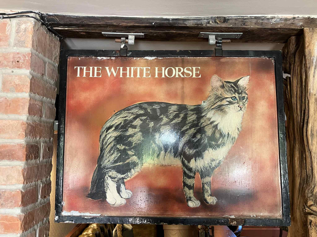 The White Horse主图