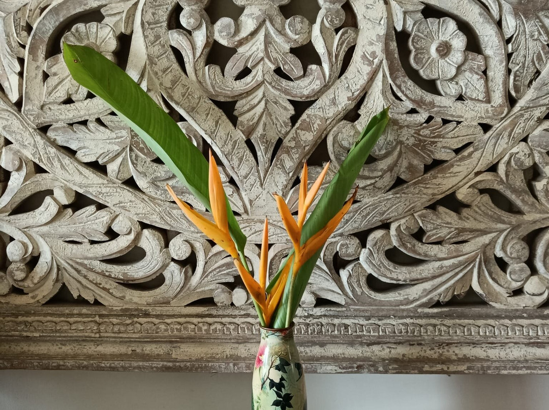 The Bark - An Art Hotel主图