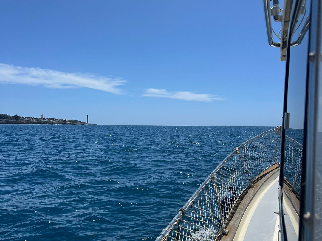 Deep Blue Trips - Maspalomas Boat Tours-Pasito Blanco必去景点
