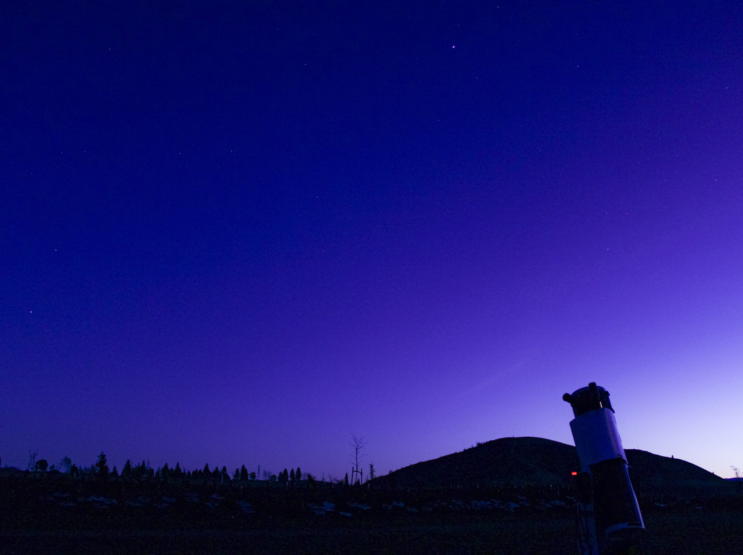 Stargaze Mackenzie