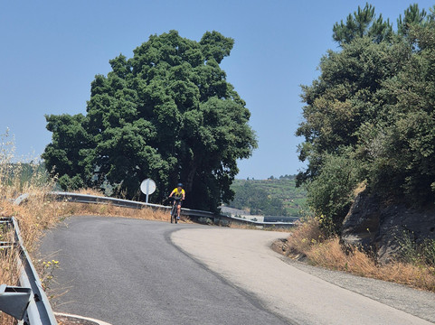 Authentic Trails-波尔图必去景点